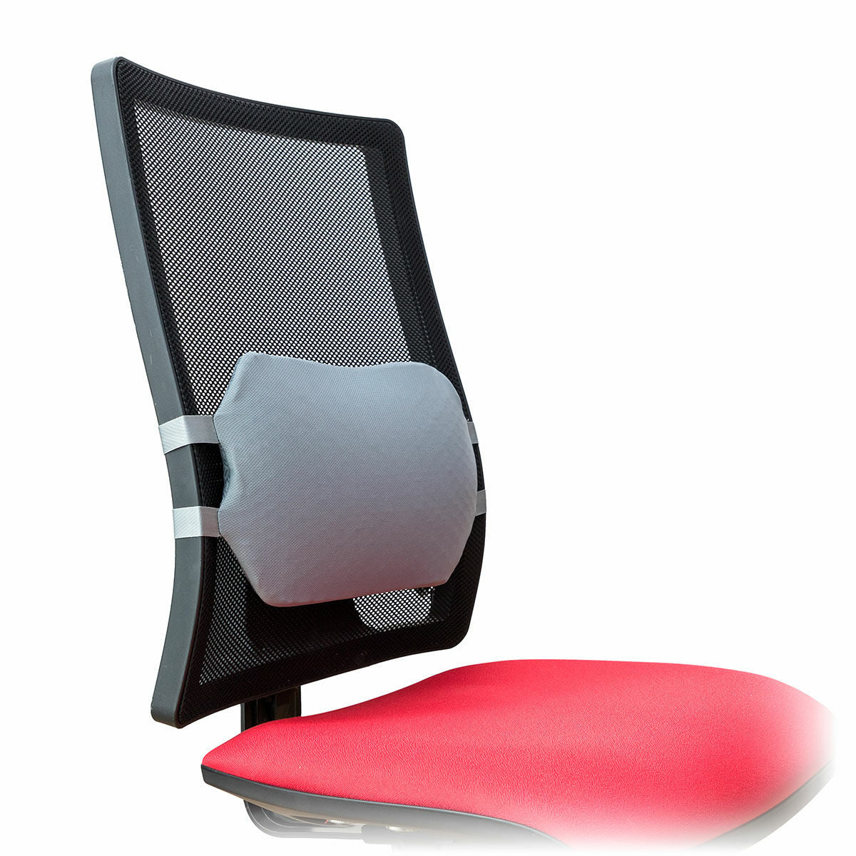 Ergonomic Lumbar Support Cushion – Everyday Comfort